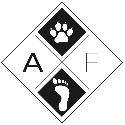 favicon-fundacion-apasos